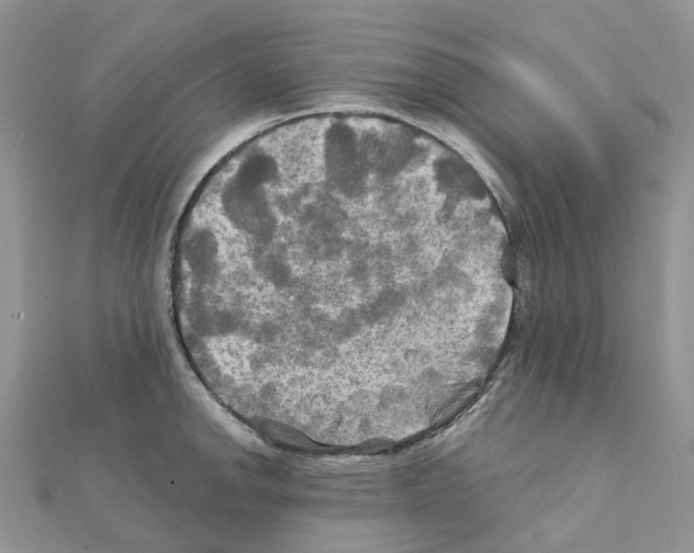 X0000111241142200908131138