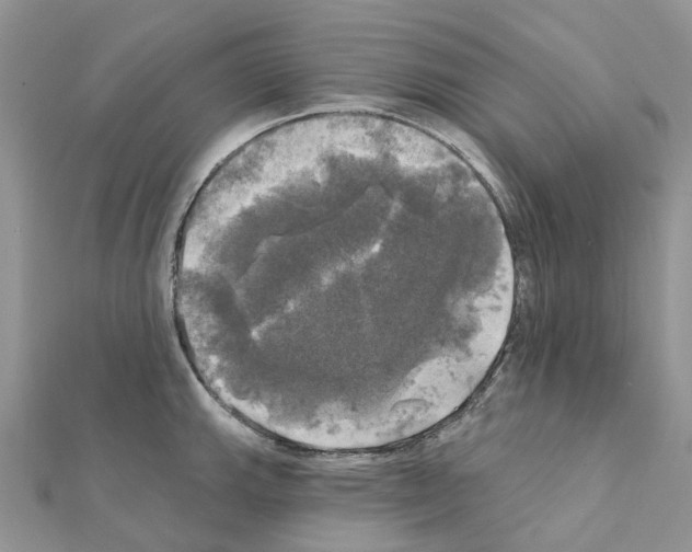 X0000111241143200908131138