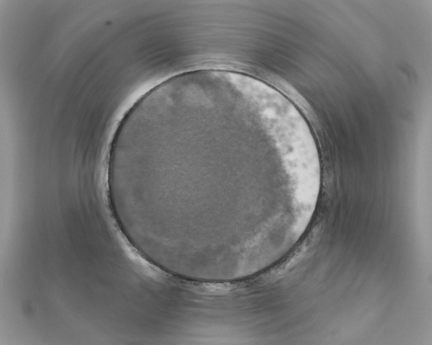 X0000111241144200908131138