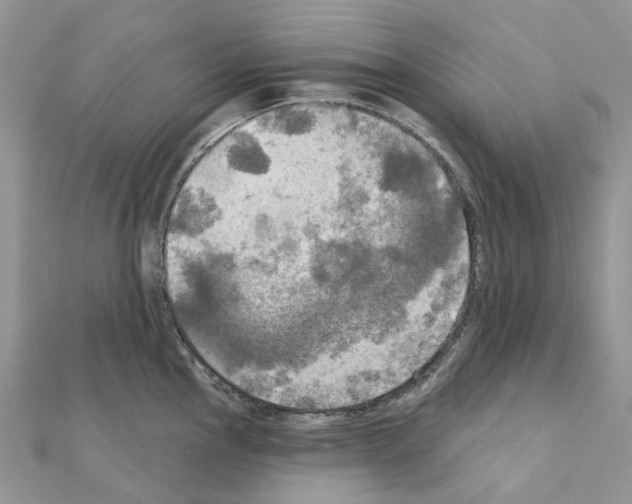 X0000111241145200908131138