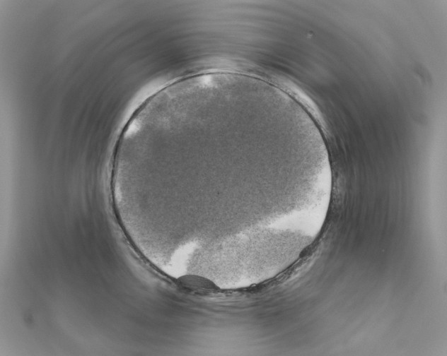 X0000111241146200908131138