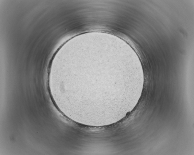 X0000111241147200908131138