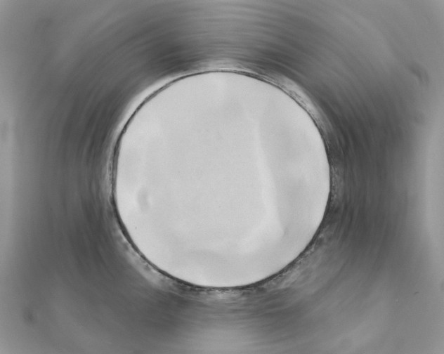 X0000111241148200908131138