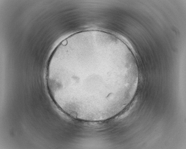 X0000111241149200908131138