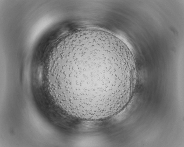 X0000111241150200908131138