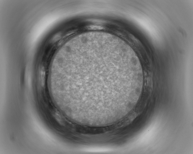 X0000111241151200908131138