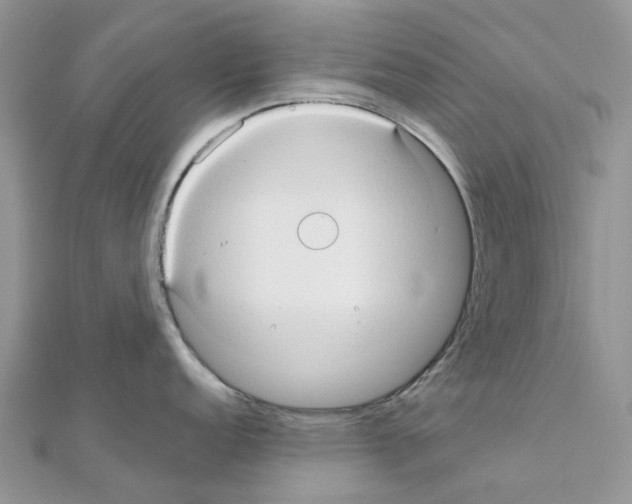 X0000111241152200908131138