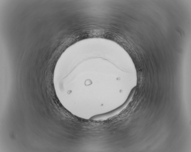 X0000111241153200908131138