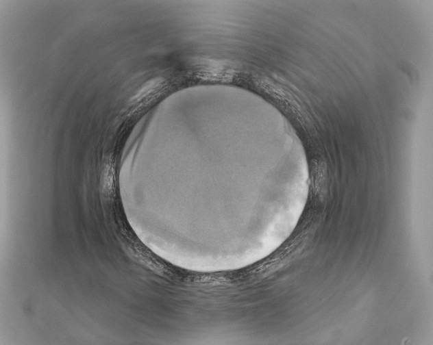 X0000111241154200908131138