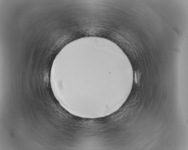 X0000111241155200908131138