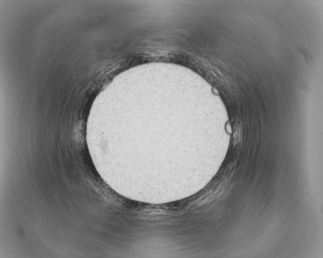 X0000111241156200908131138