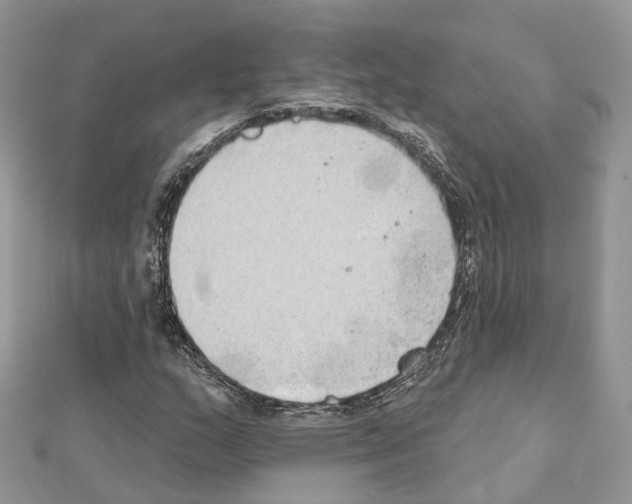 X0000111241159200908131138