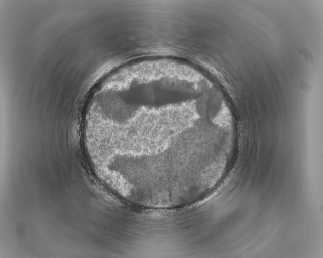 X0000111241163200908131137