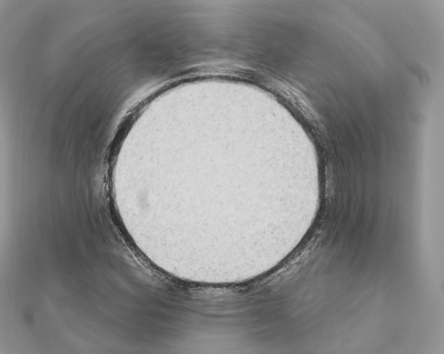 X0000111241164200908131137