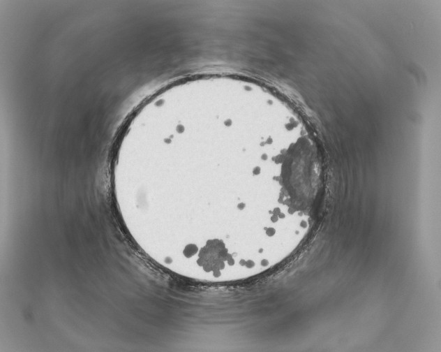 X0000111241167200908131137