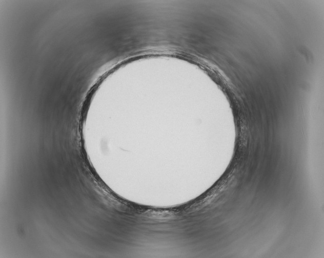 X0000111241168200908131137