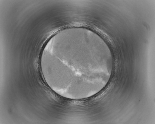 X0000111241170200908131137