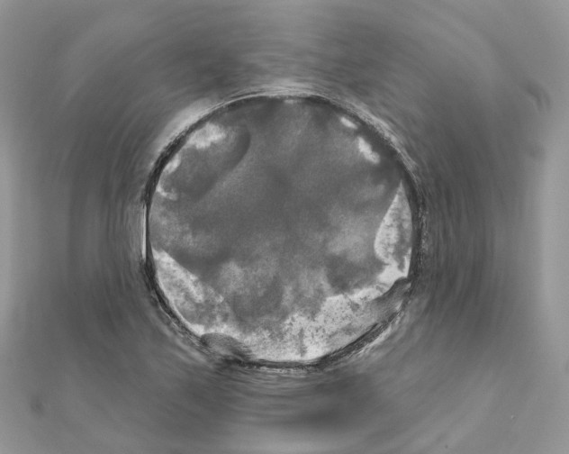X0000111241171200908131137