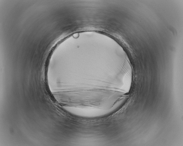 X0000111241173200908131137