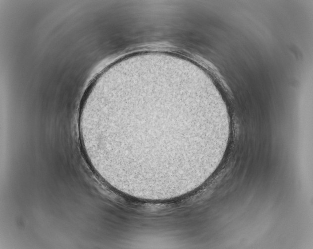 X0000111241176200908131137