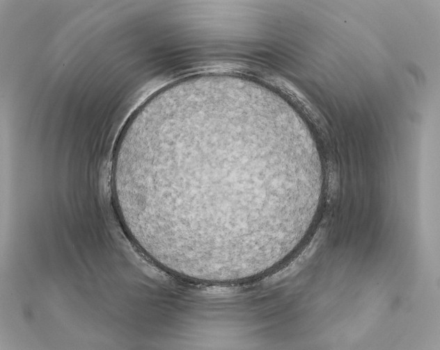 X0000111241178200908131137