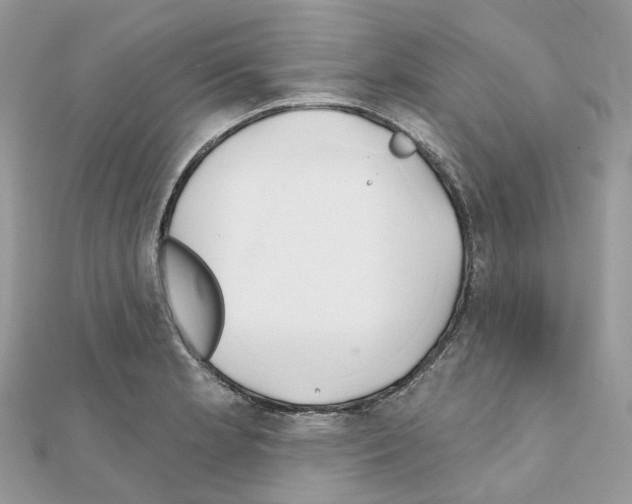 X0000111241181200908131137