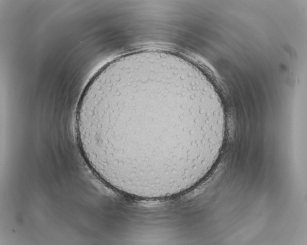 X0000111241182200908131137