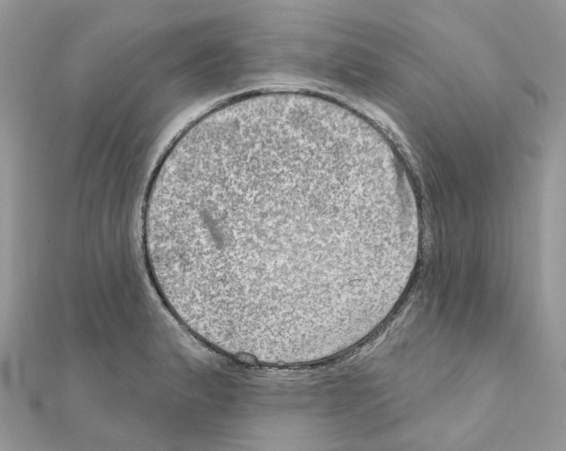 X0000111241183200908131137