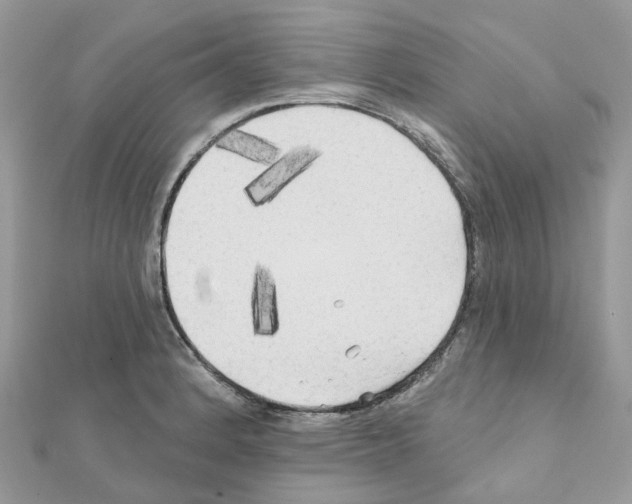 X0000111241184200908131137