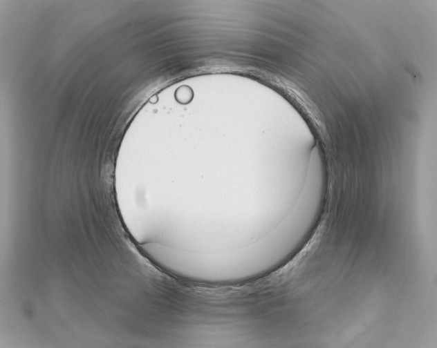 X0000111241185200908131137