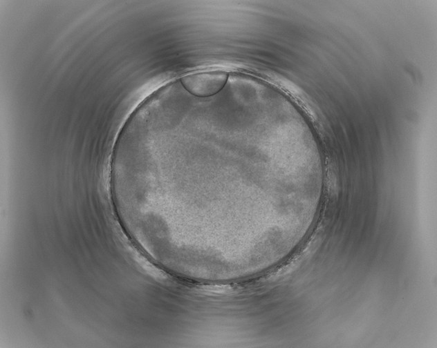 X0000111241186200908131137