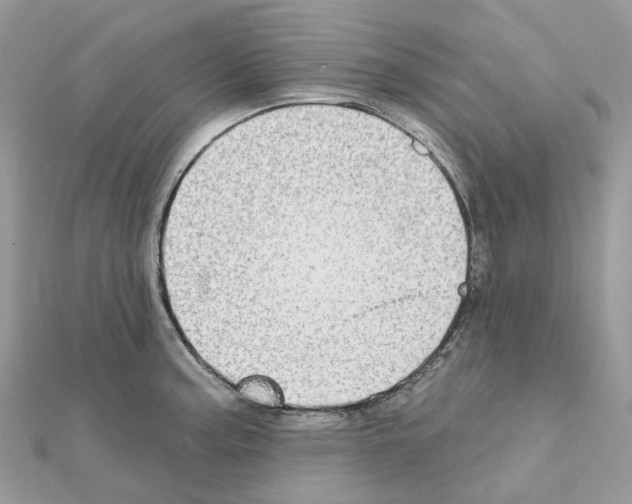 X0000111241187200908131137