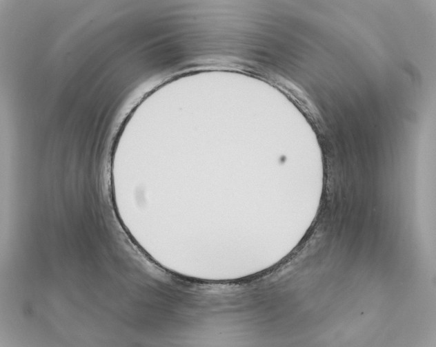 X0000111241188200908131137