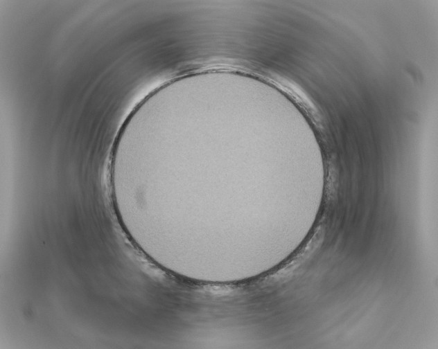 X0000111241190200908131137