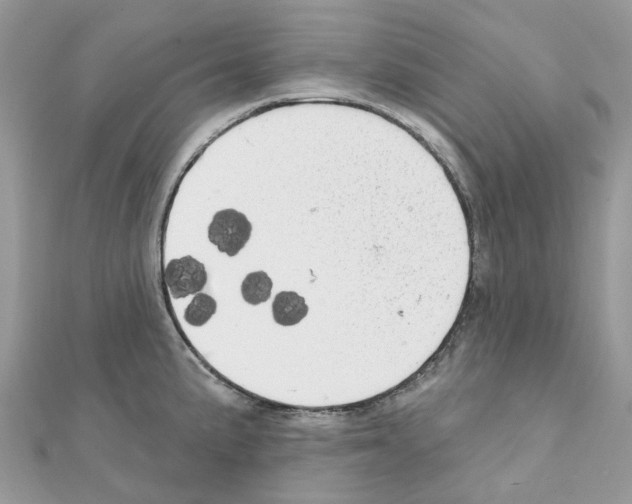 X0000111241191200908131137
