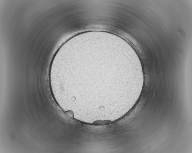 X0000111241192200908131137