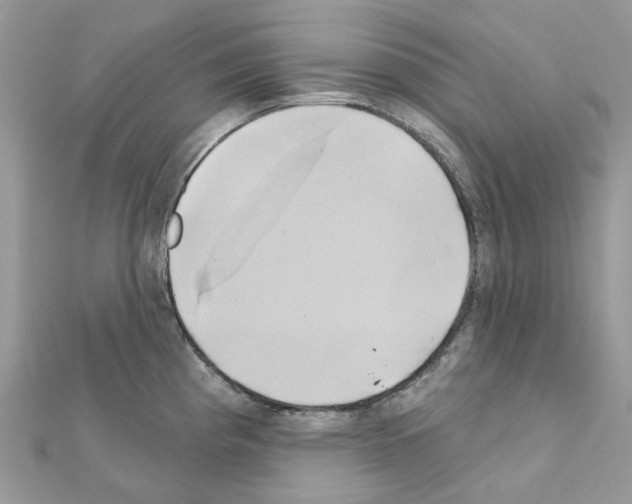 X0000111241193200908131137