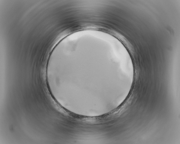 X0000111241194200908131137