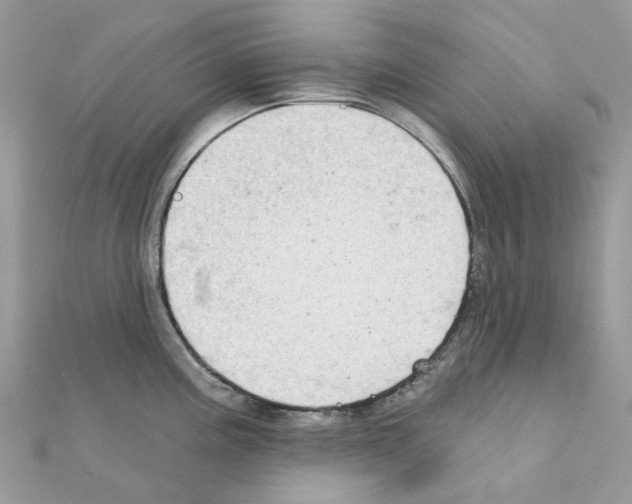 X0000111241195200908131137