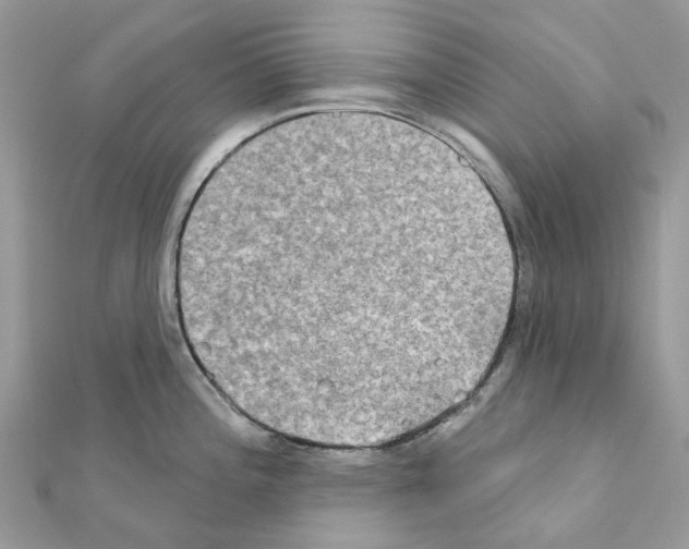 X0000111241196200908131137
