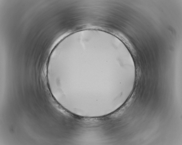 X0000111241198200908131137