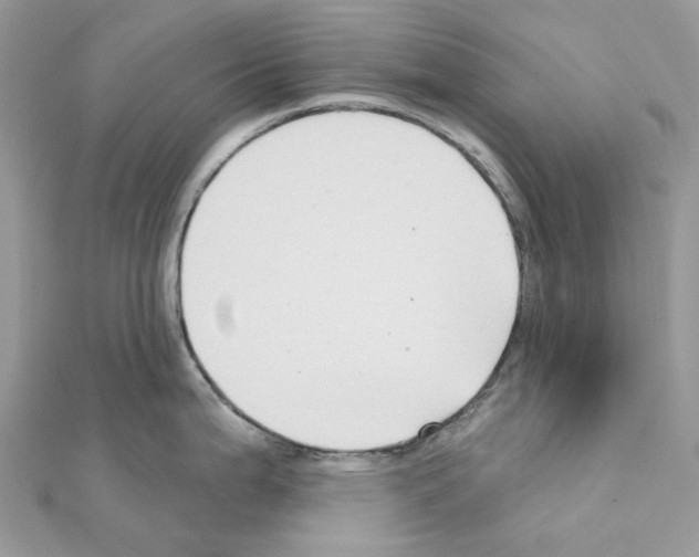 X0000111241199200908131137