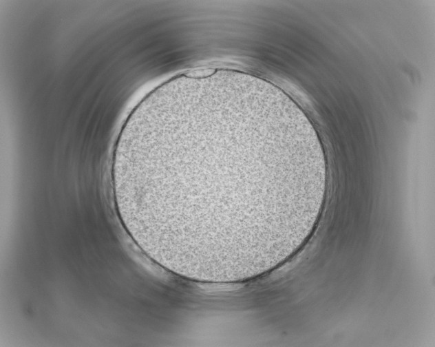 X0000111241200200908131137