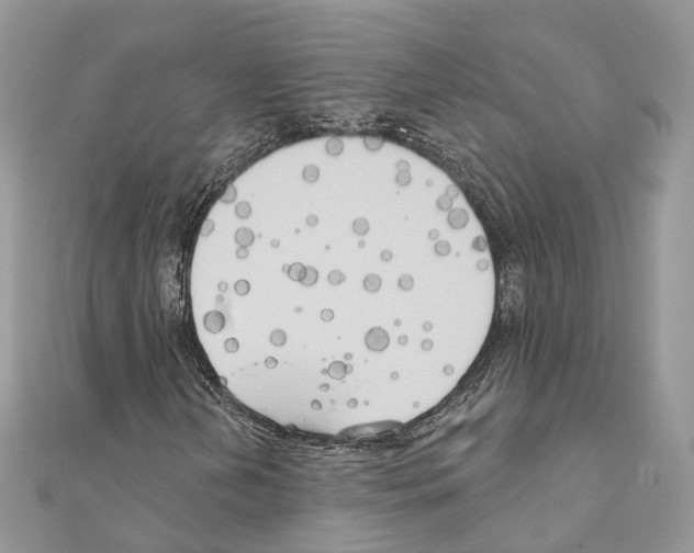 X0000111241202200908131136