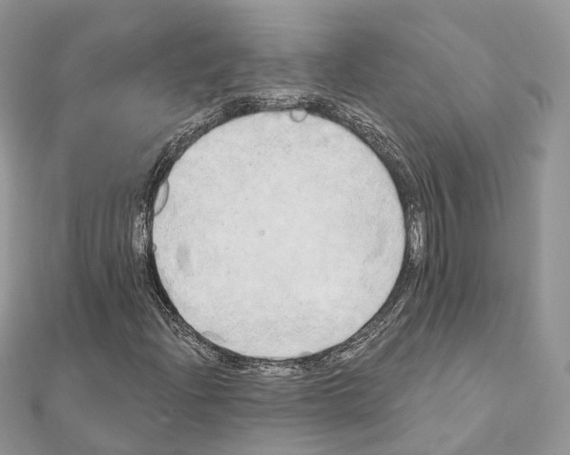 X0000111241204200908131136