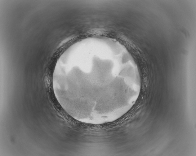X0000111241206200908131136