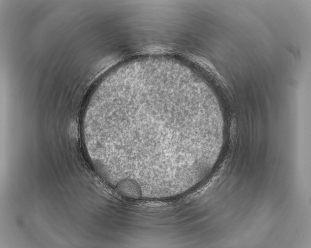 X0000111241209200908131136