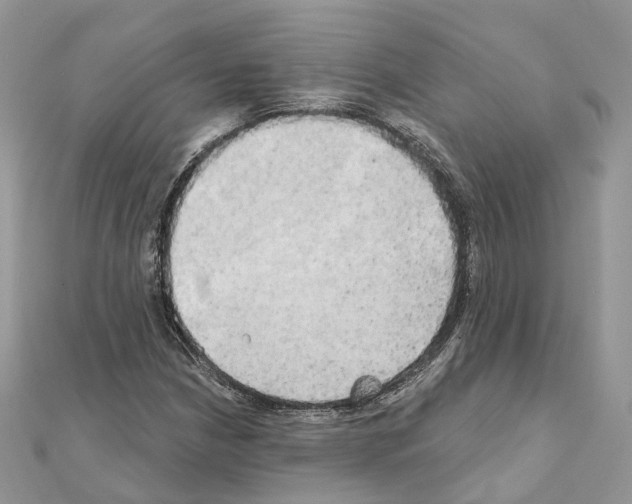 X0000111241210200908131136