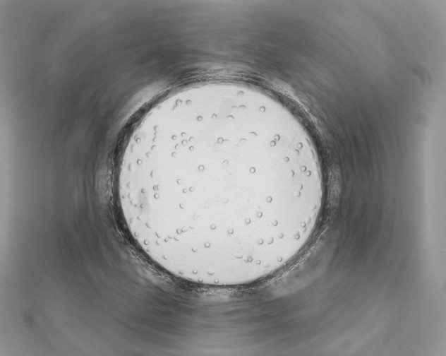 X0000111241211200908131136