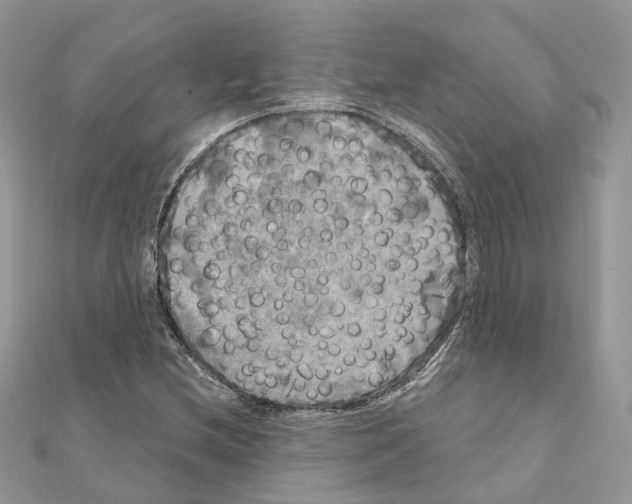 X0000111241212200908131136